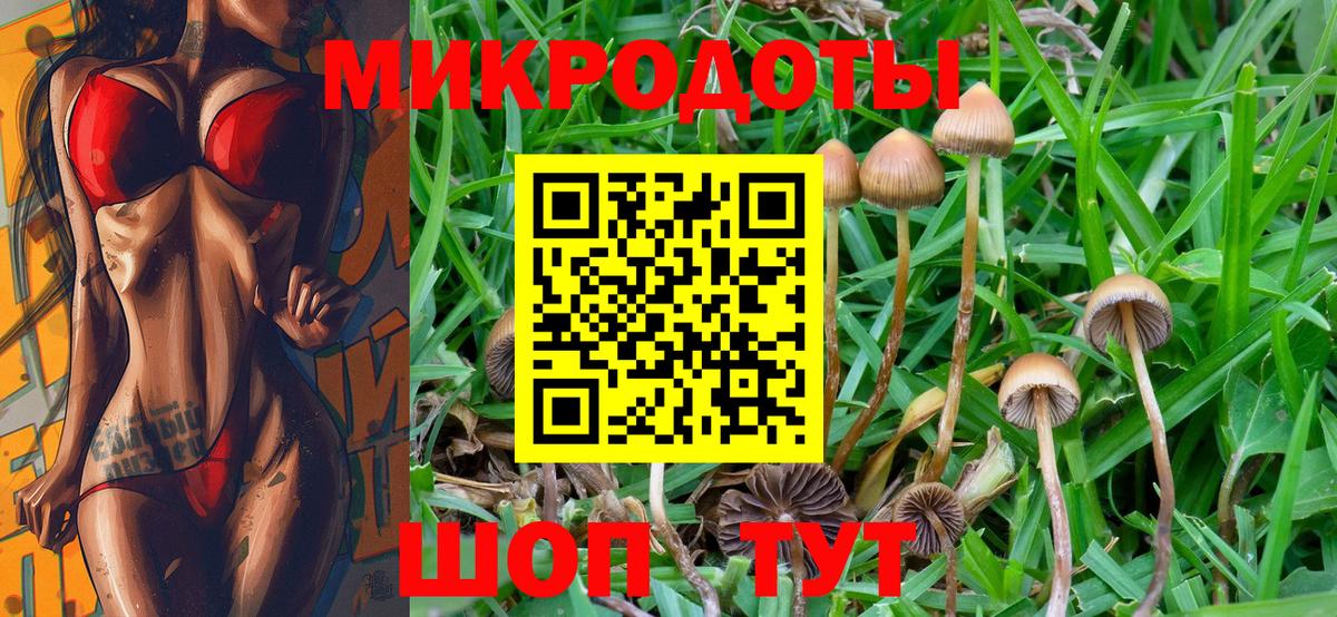 Псилоцибиновые грибы Psilocybine cubensis  Вход с VPN  Сунжа 